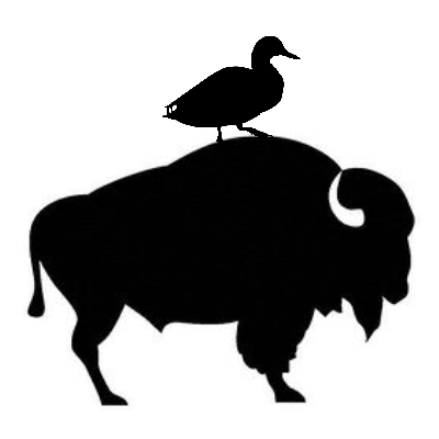 The Buffalo & The Duck